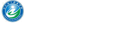 意甲联赛官方网站